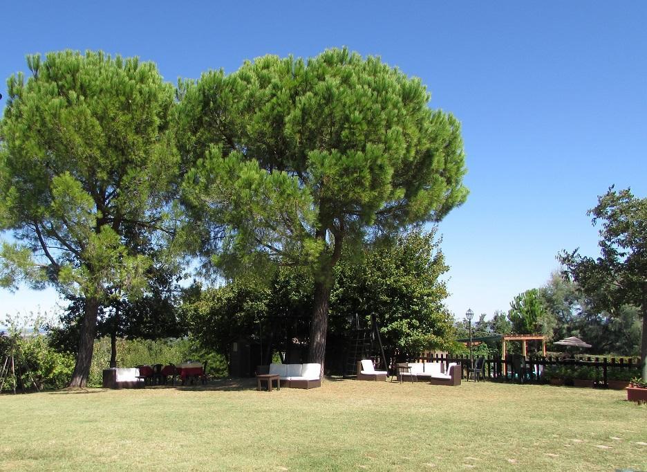 Agriturismo Ca'De'Gatti Фаэнца Экстерьер фото