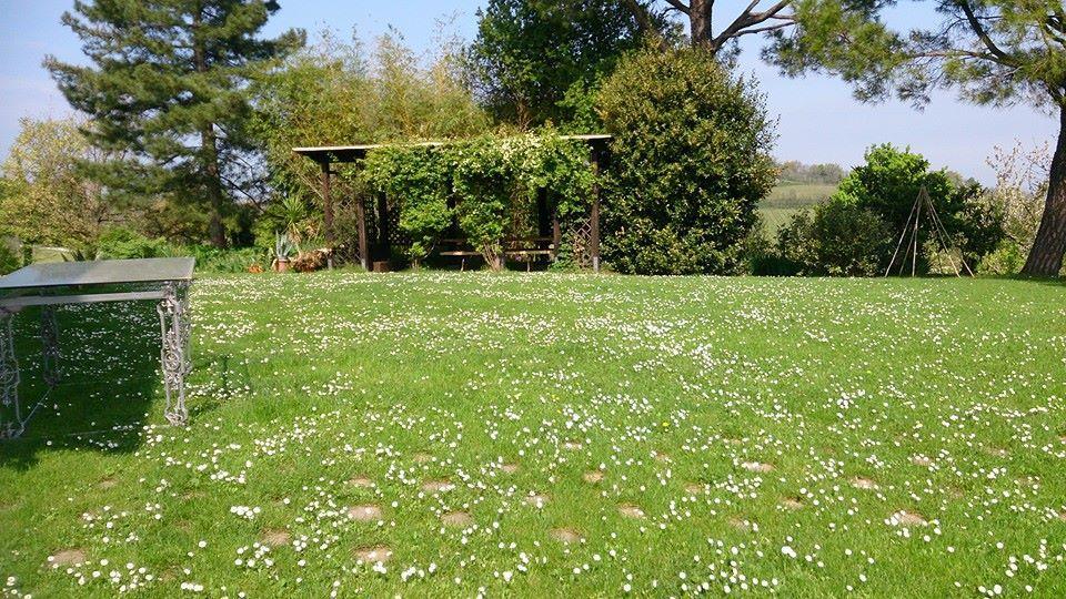 Agriturismo Ca'De'Gatti Фаэнца Экстерьер фото