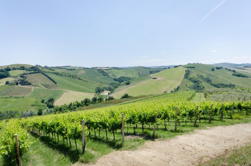 Agriturismo Ca'De'Gatti Фаэнца Экстерьер фото
