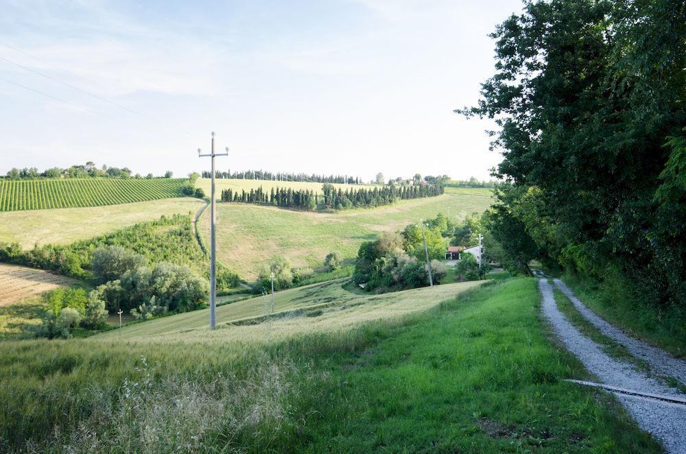 Agriturismo Ca'De'Gatti Фаэнца Экстерьер фото